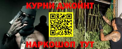 дмт Будённовск